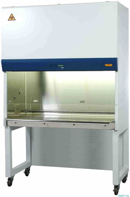 A2ﰲȫ