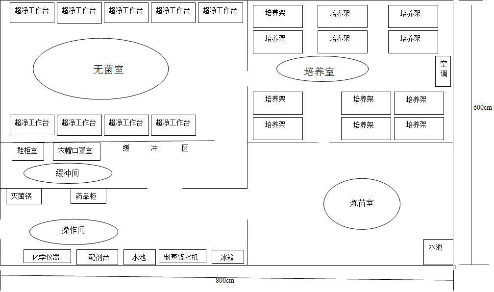 超净工作台:组培工厂设计图